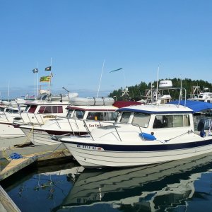 Saturday May 16th Friday Harbor