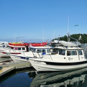 Saturday May 16th Friday Harbor
