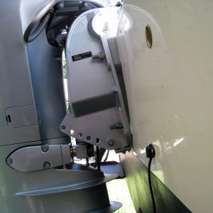 Sea Wings Transom Wedge
