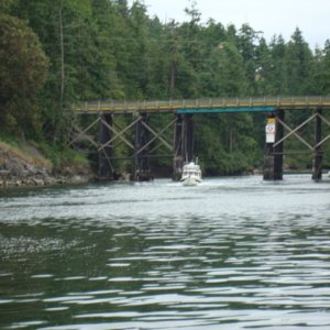 10 June - C Cakes north of Bedwell Harbor