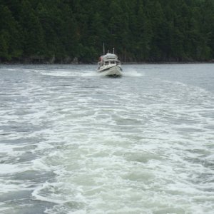 10 June C-Cakes north of Bedwell Harbor