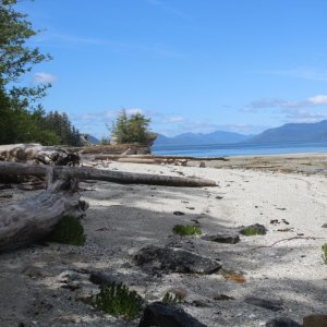 Home Bay (Whale Channel)