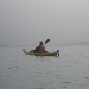 Into the Mist