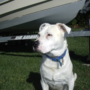 Buck The C Dog, can't wait to go out for a spin!