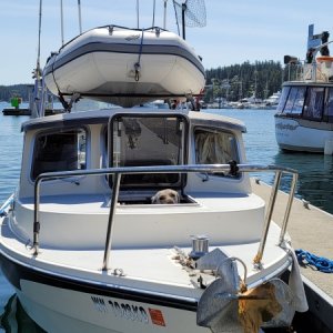 Han peeking out of Susan E