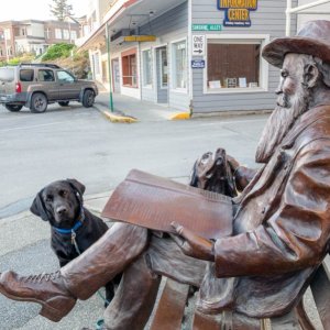 Tango explores Friday Harbor