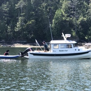 Tango Patiently Waits, Nowhere Fast, Shallow Bay, Sucia