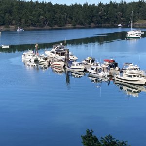 9 Cdorys PreGather at Prevost Hbr, Stuart Island