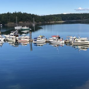 Reflective View, Prevost Hbr, Stuart Island