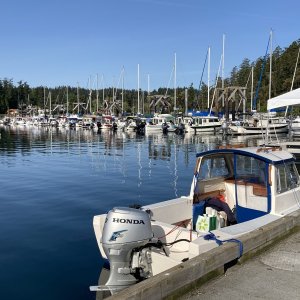 CDorys at Friday Harbor