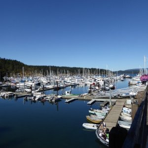 Friday Harbor on a busy Saturday in late August