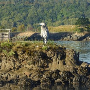 Sunday morning leaving Twin Bridges