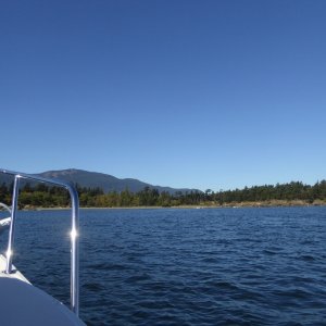 A check on Clark Island - almost all buoys were open.