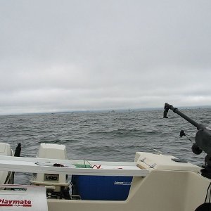 N.W. Wind Rising