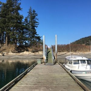 Room for about 3 C-dorys on this float