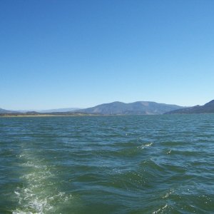 Looking north