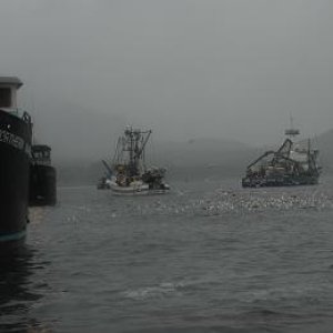 Petersburg water front