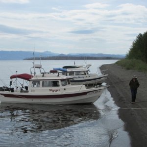 Gathering on Dot Island