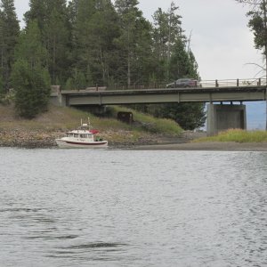 Cody in "Voyageur" Returning to Bridge Bay Marina