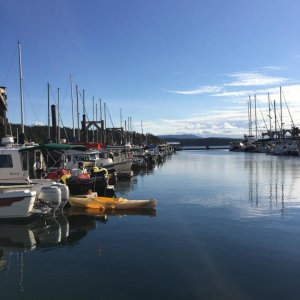 H dock Sunday morning