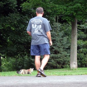 Walking Izzy