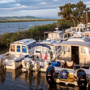 Tight mooring at the duck club