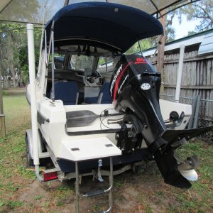 Dive platform and ladder