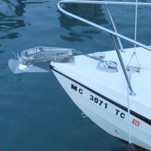 Anchoring system