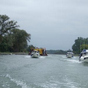 Parade of C-Dorys