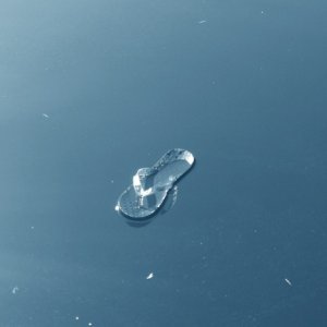 Meredith getting "artsie".  I dropped my slippa overboard and before retrieving it, she had to go all Ansell Adams....