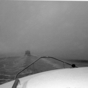 27 Feb 2005 An interesting trip  through the fog to LaConner.