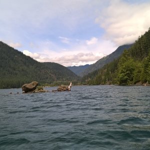 The original river canyon cuts down through the reservoir, so the depth between the rocks and shore is 40'.  To the left of the rocks were some tree tops still exposed.  Kind of dicey.