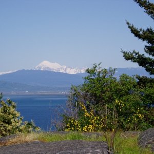 Mt Baker from Anacortes