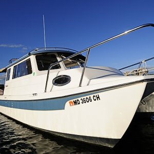 ViewFinder\'s new \"Stars & Stripes\" accent color