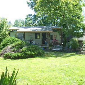 backyard bungalo.   shady and dry.
