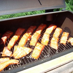 my addiction forced me to buy a copper river salmon.