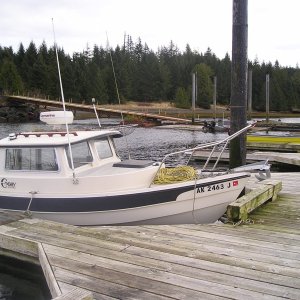 Picture 003