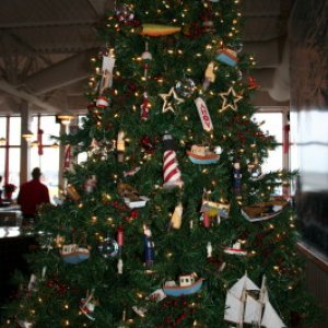 Chinooks Xmass Tree