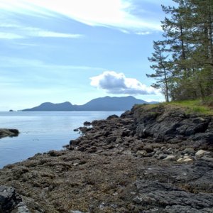 Exploring the shores at low tide