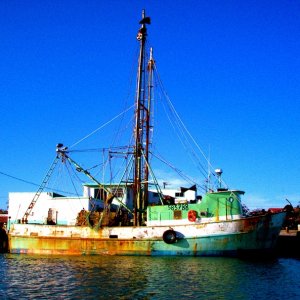 texas 2008 port isabel dixie 034