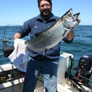 Tom\'s 20lbs King