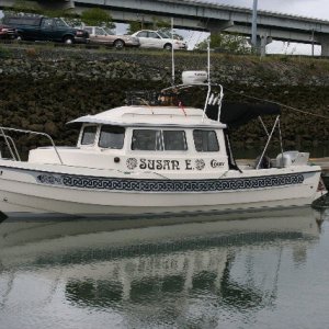 new boat graphics1