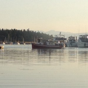 Nanaimo Harbour