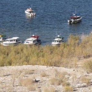 Lake Powell Rendezvous