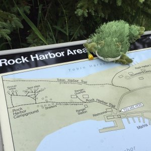 Lil' Brat picks out a trail at Rock Harbor