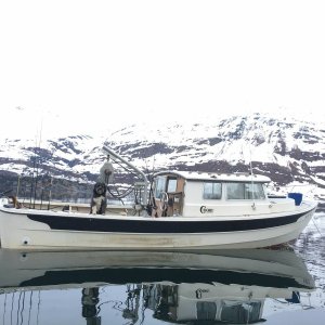 27' 1982 diesel inboard (AK Craigslist June 2017)