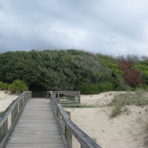 IMG 0381 Dune crossover on Cumberland Island Georgia