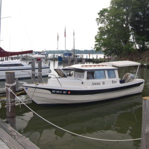 DSC 4219 B
