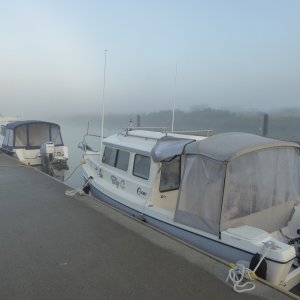 After a Friday night aboard hoping to get an early start Saturday, but instead woke up to morning fog. Looks like Catman is heading out too!
