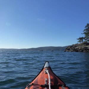 I wanted to sneak a peek up East Sound but the winds and waves were so persistent I couldn't comfortably get around this point. In fact, I only saw 3 or 4 other boats pass by all day long!